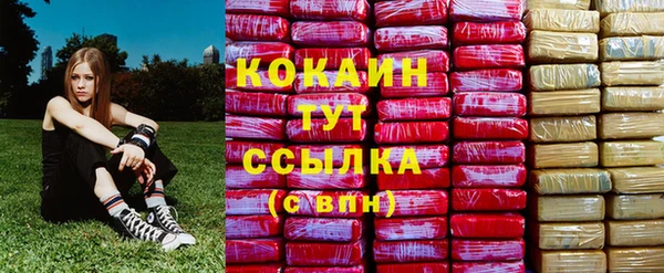 дживик Вязьма