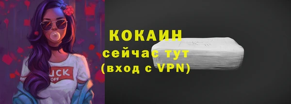 дживик Вязьма