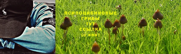 стафф Вязники