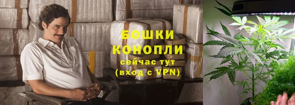 дживик Вязьма