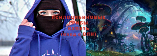 ECSTASY Вяземский