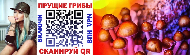 Псилоцибиновые грибы Magic Shrooms  Купить  Свирск 